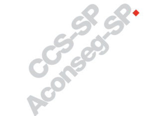 Apoio das assessorias foi o tema da live Prata da Casa do CCS-SP Apoio das assessorias aos corretores foi tema da live Prata da Casa do CCS-SP