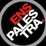 CEO da PROAUTO palestra sobre regulação do mercado mutualista na ENS