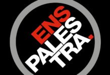 CEO da PROAUTO palestra sobre regulação do mercado mutualista na ENS