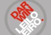 Darwin Seguros lança plataforma digital de seguro garantia para leiloeiros