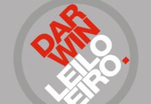 Darwin Seguros lança plataforma digital de seguro garantia para leiloeiros