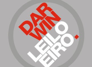 Darwin Seguros lança plataforma digital de seguro garantia para leiloeiros