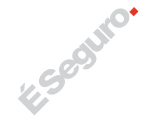 É Seguro está entre as 10 maiores microfranquias do Brasil É Seguro está entre as 10 Maiores Microfranquias do Brasil