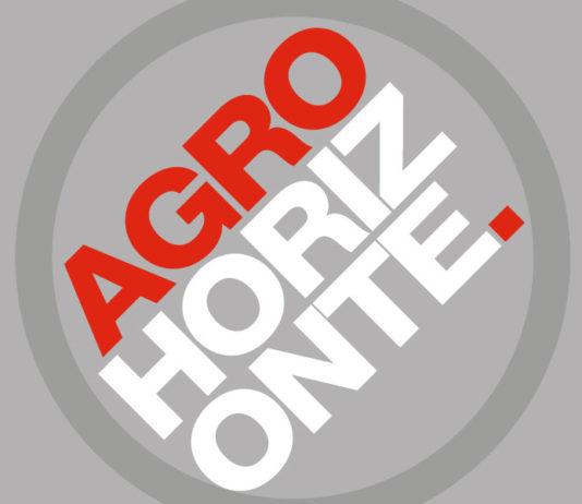 FenSeg participa do Agro Horizonte, em Brasília