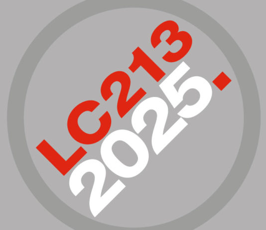 Grupos de proteção patrimonial e a LC 213/2025