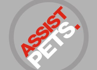 Seguros residenciais e o aumento da adoção de pets