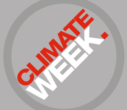 Allianz Brasil reforça participação na agenda climática global em missão a Londres
