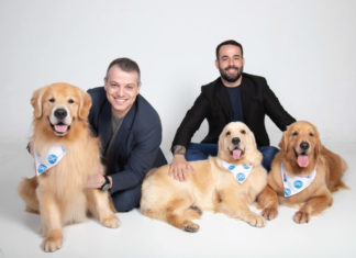 Plano de saúde para animais cresce em ritmo acelerado Mercado Pet - plano de saúde para animais acompanha crescimento em ritmo acelerado