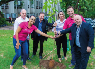Sancor Seguros planta mudas de Ipês em Porto Alegre