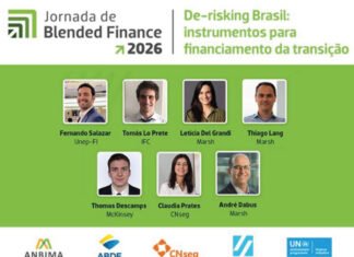 Seguro e transferência de riscos ajudam a destravar capital para a transição