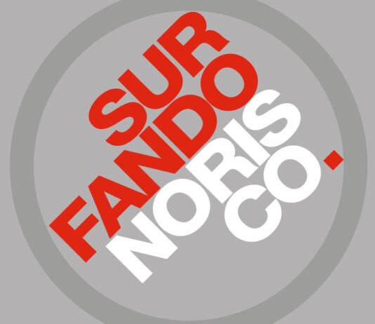 Surfando no risco