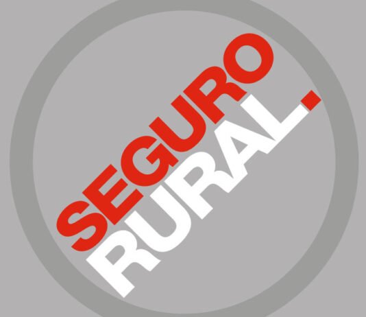 Transição da safra reforça importância de monitoramento socioambiental no seguro rural